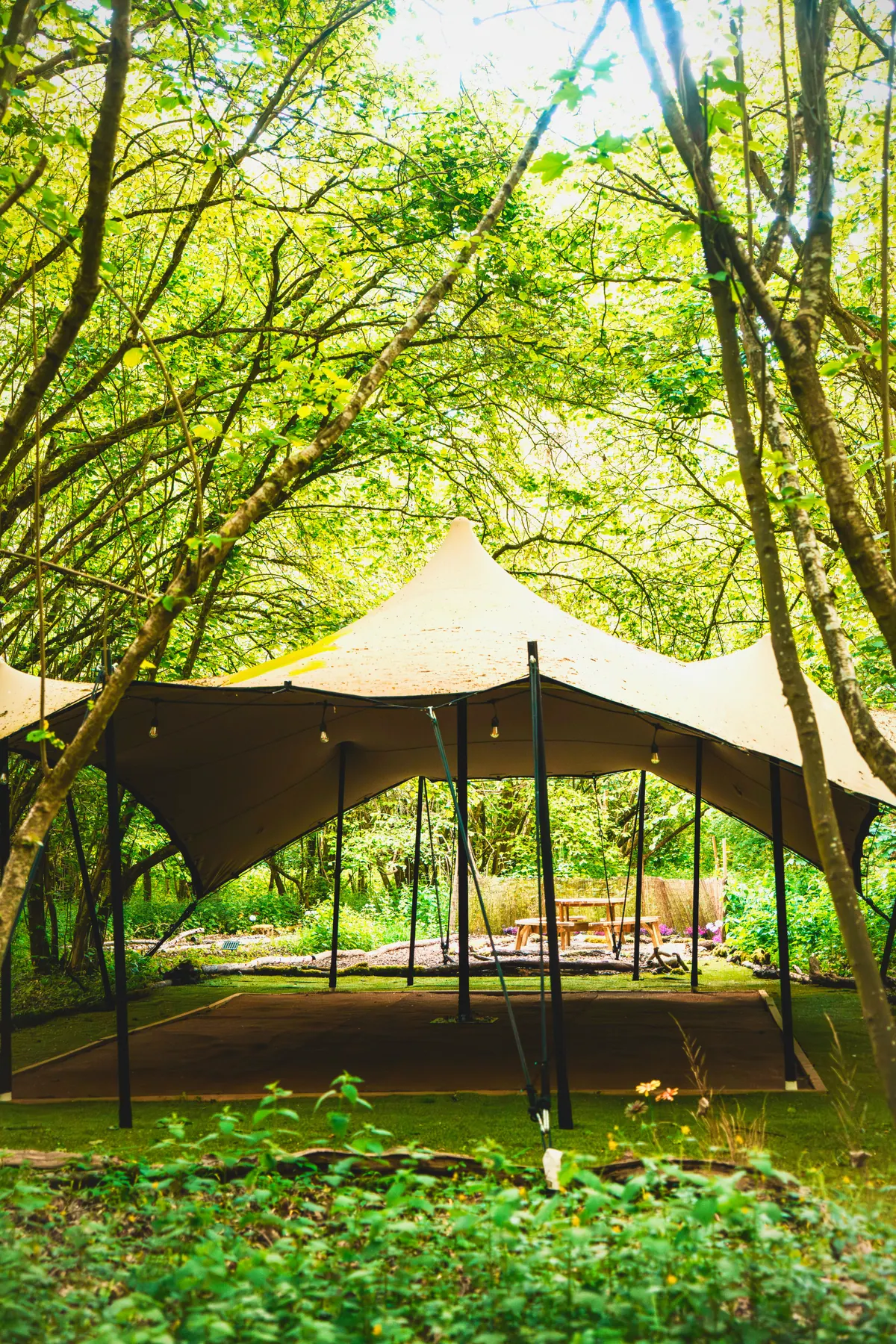 The stretch tent in the woodland
